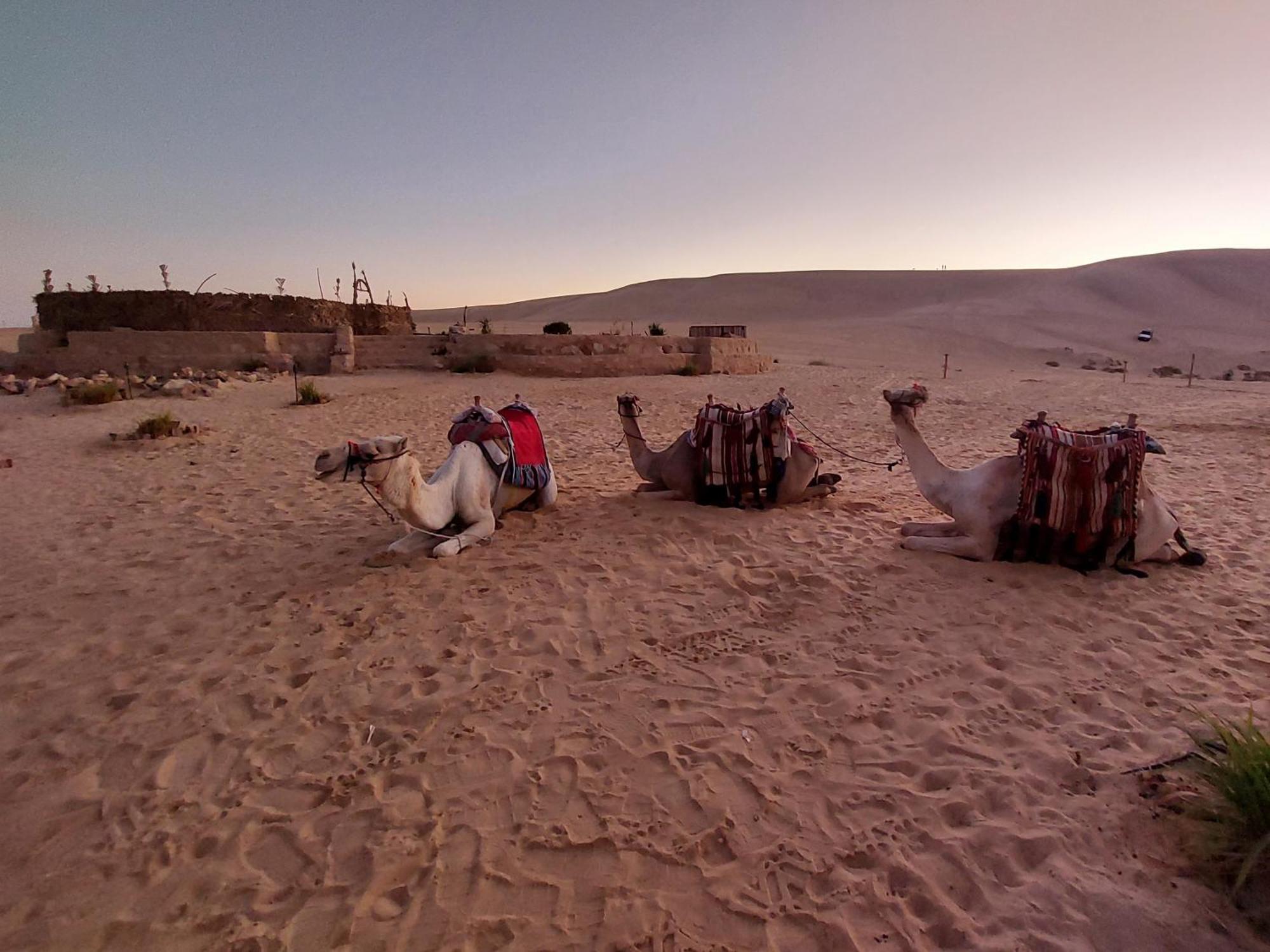 Hotel Hayaat Siwa Hot Spring Siwa Oasis Zewnętrze zdjęcie